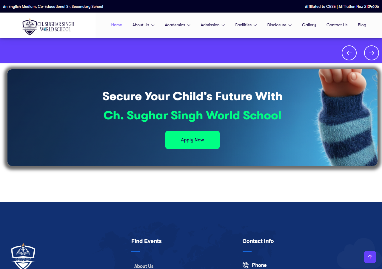 CSS World School website preview