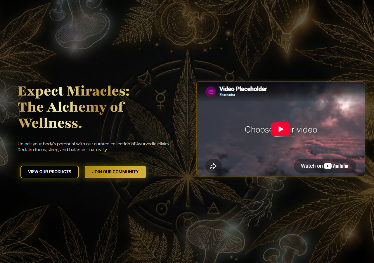 Expect Miracles website preview